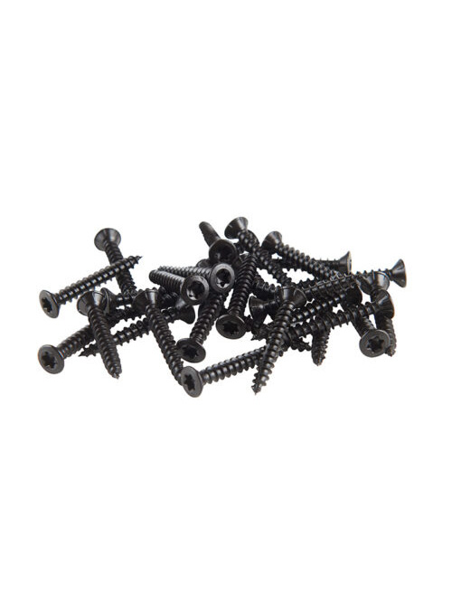 Paneelschroeven black – Tx. 20